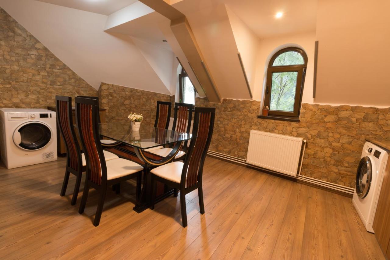 Downtown Park Loft Appartamento Sinaia Esterno foto