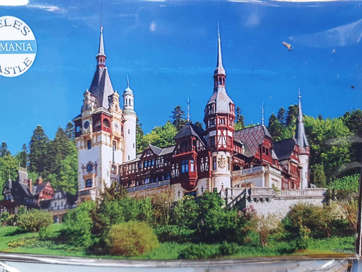 Downtown Park Loft Appartamento Sinaia Esterno foto
